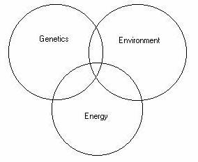 Lonsdale circles.jpg