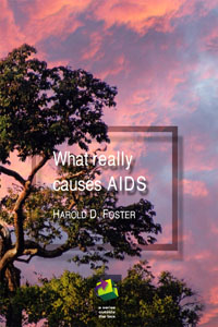 AIDSbook17.jpg
