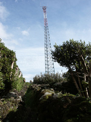 antena63.jpg