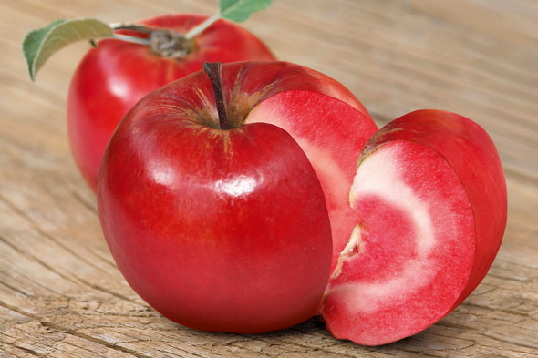apple-red-flesh-590_0.jpg
