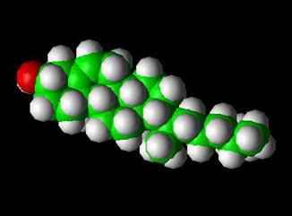 cholesterol.jpg